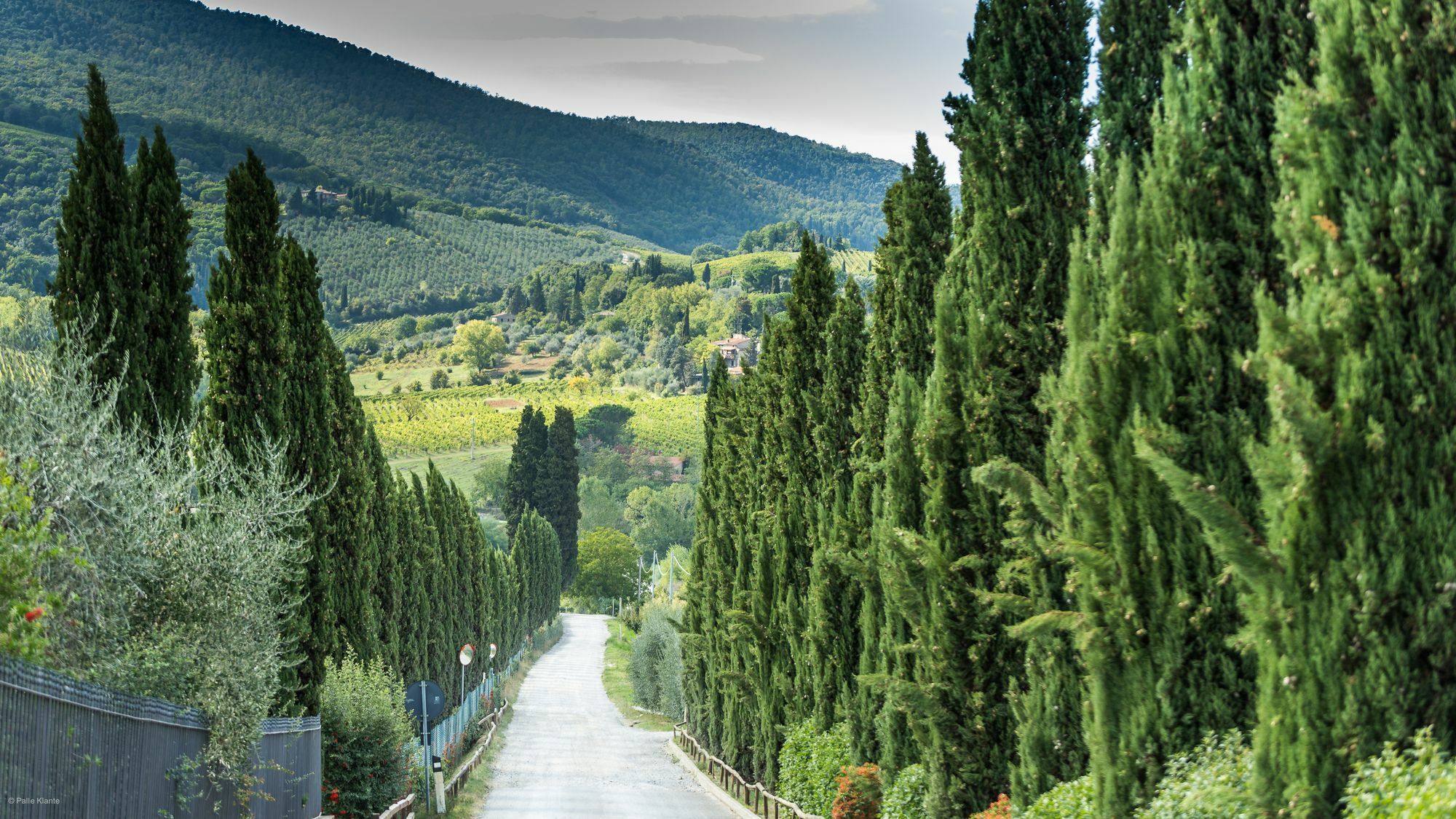 Agriturismo I Pini San Gimignano Eksteriør bilde